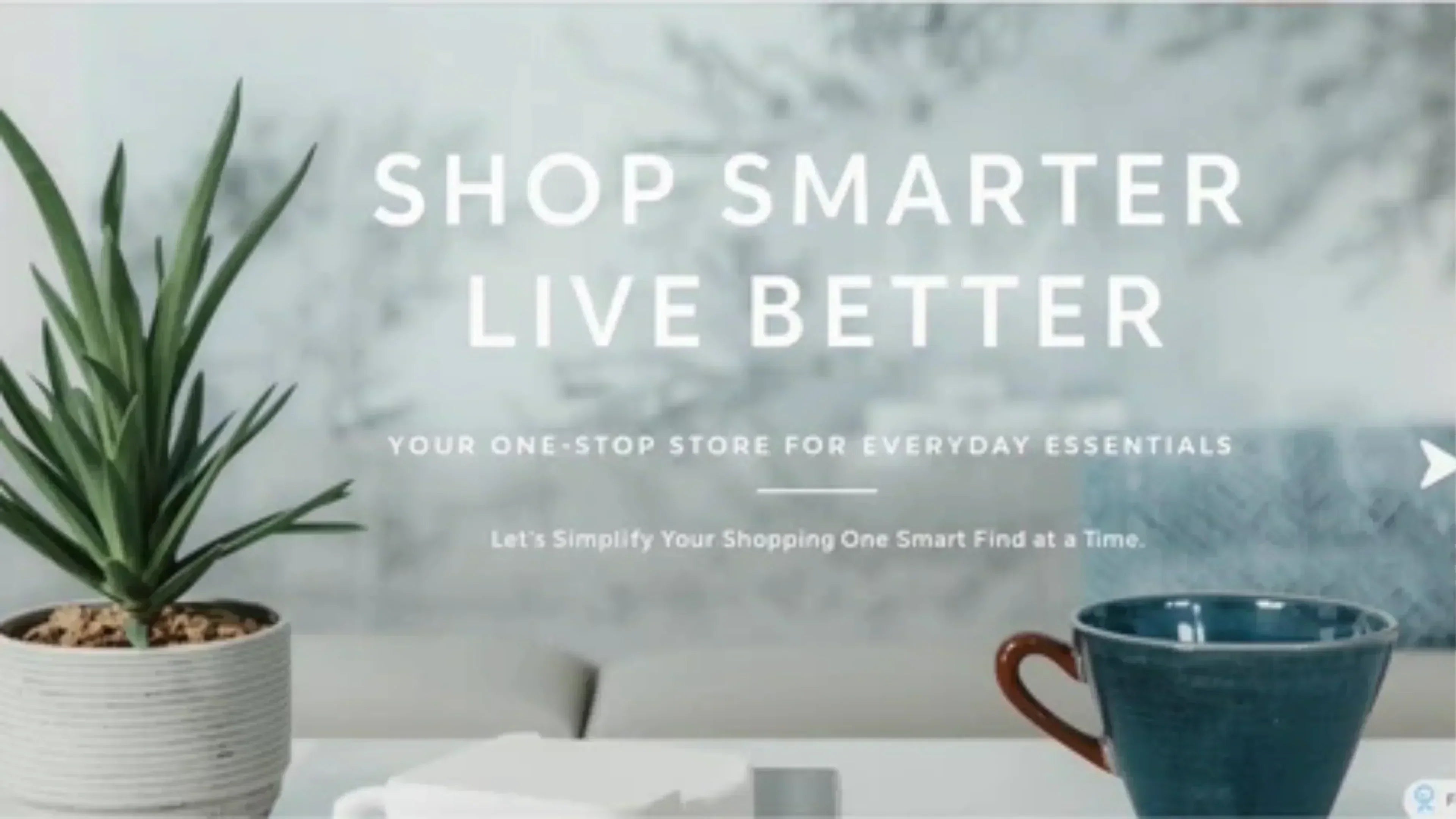 Shop Smarter, Supplier Direct: Your One-Stop Store for Everyday Essentials