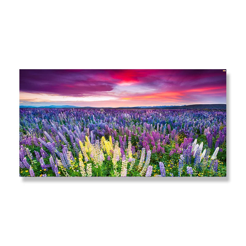 Lake Tekapo New Zealand Canvas Wall Art Lupin Flower Mountain Landscape Posters Prints Home Decor