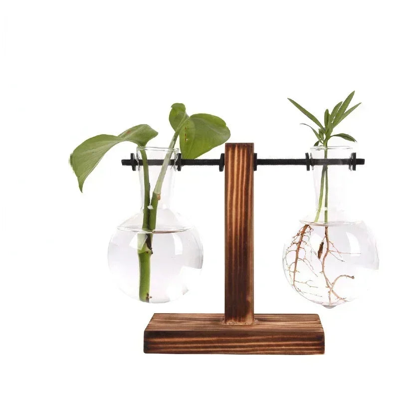 Hydroponic Plant Terrarium Vase Glass Desktop Planter with Wooden Stand for Home and Office Decor