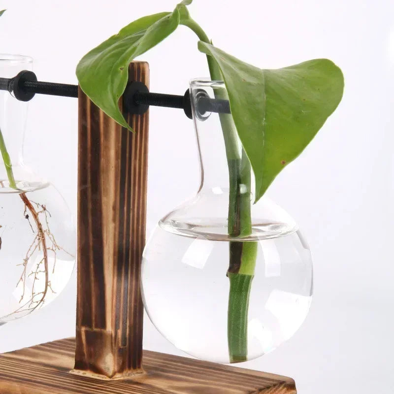 Hydroponic Plant Terrarium Vase Glass Desktop Planter with Wooden Stand for Home and Office Decor