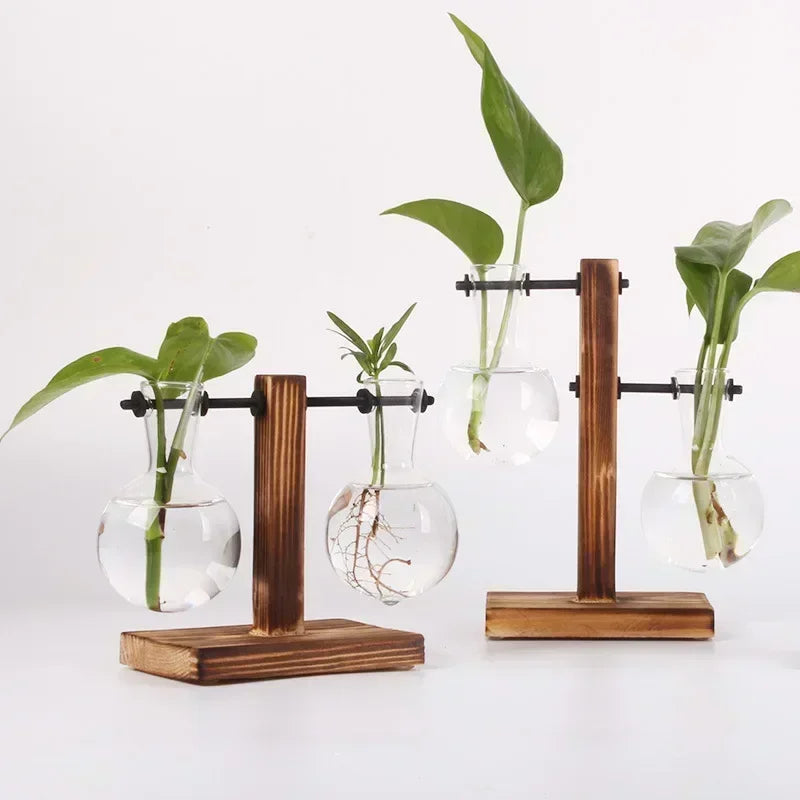 Hydroponic Plant Terrarium Vase Glass Desktop Planter with Wooden Stand for Home and Office Decor