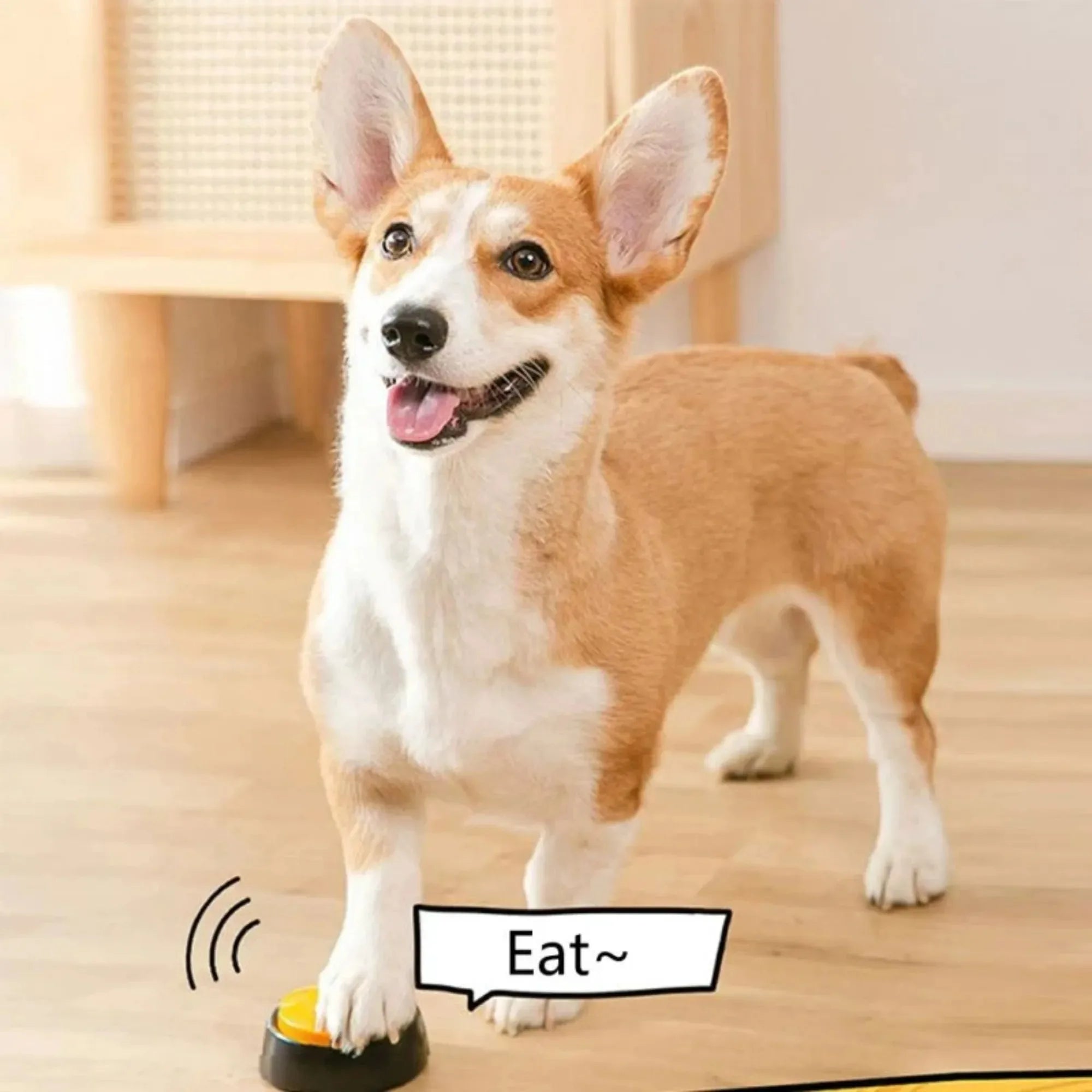 Dog Communication Buttons Voice Recorder for Training & Talking Pets with 30s Custom Playback