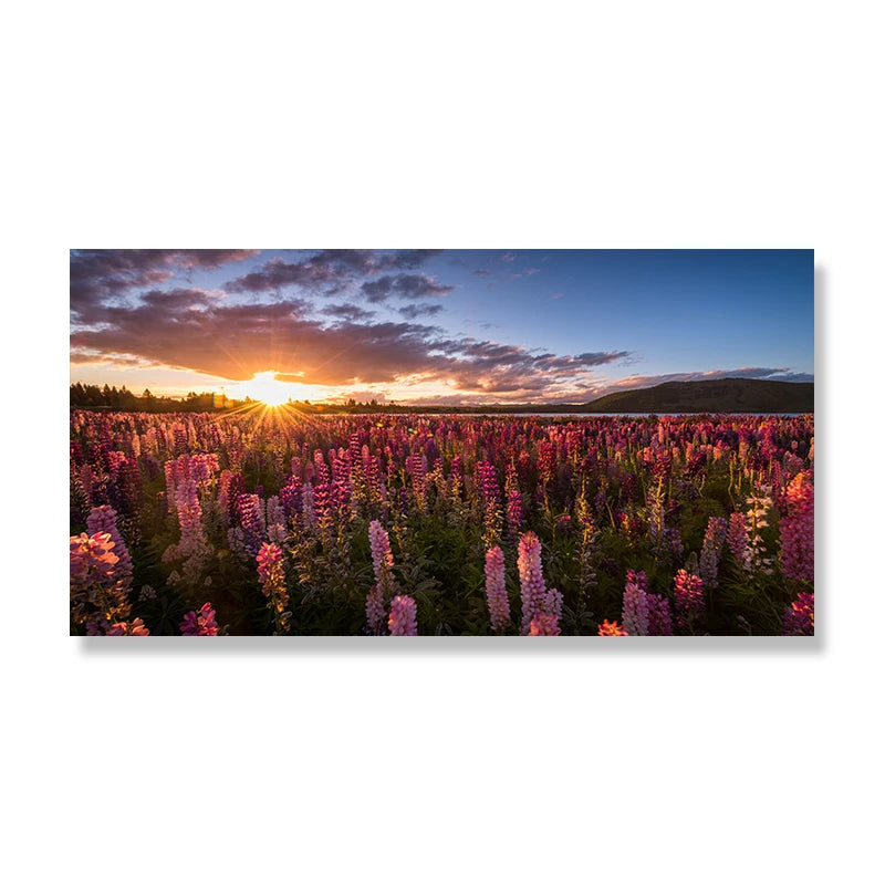 Lake Tekapo New Zealand Canvas Wall Art Lupin Flower Mountain Landscape Posters Prints Home Decor