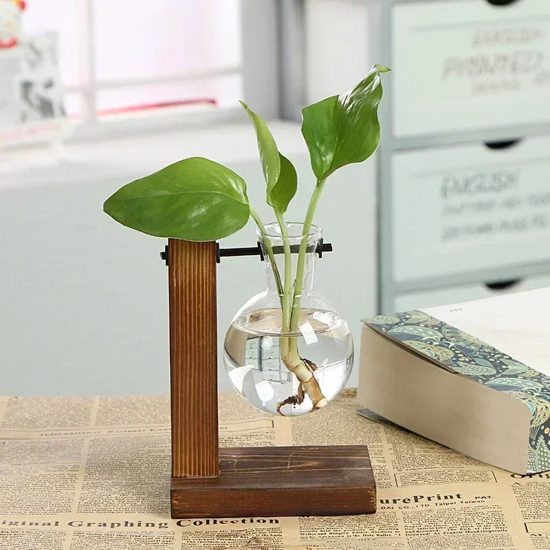 Hydroponic Plant Terrarium Vase Glass Desktop Planter with Wooden Stand for Home and Office Decor