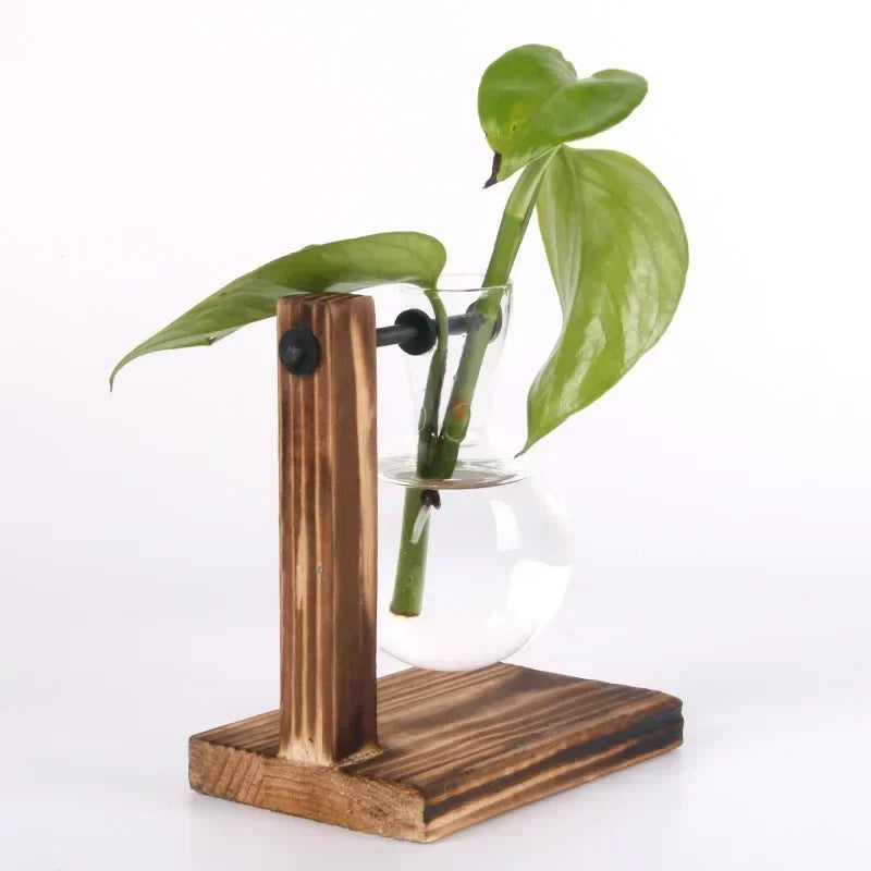 Hydroponic Plant Terrarium Vase Glass Desktop Planter with Wooden Stand for Home and Office Decor