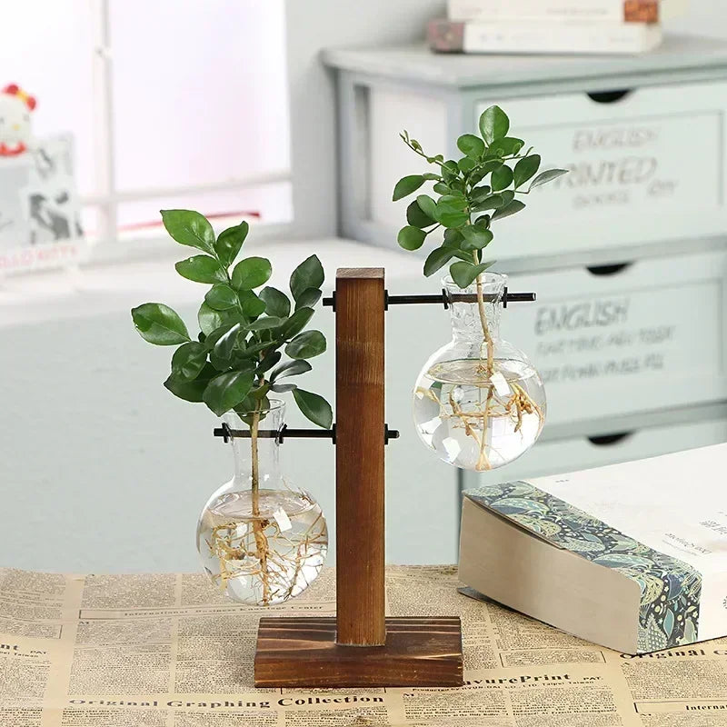 Hydroponic Plant Terrarium Vase Glass Desktop Planter with Wooden Stand for Home and Office Decor
