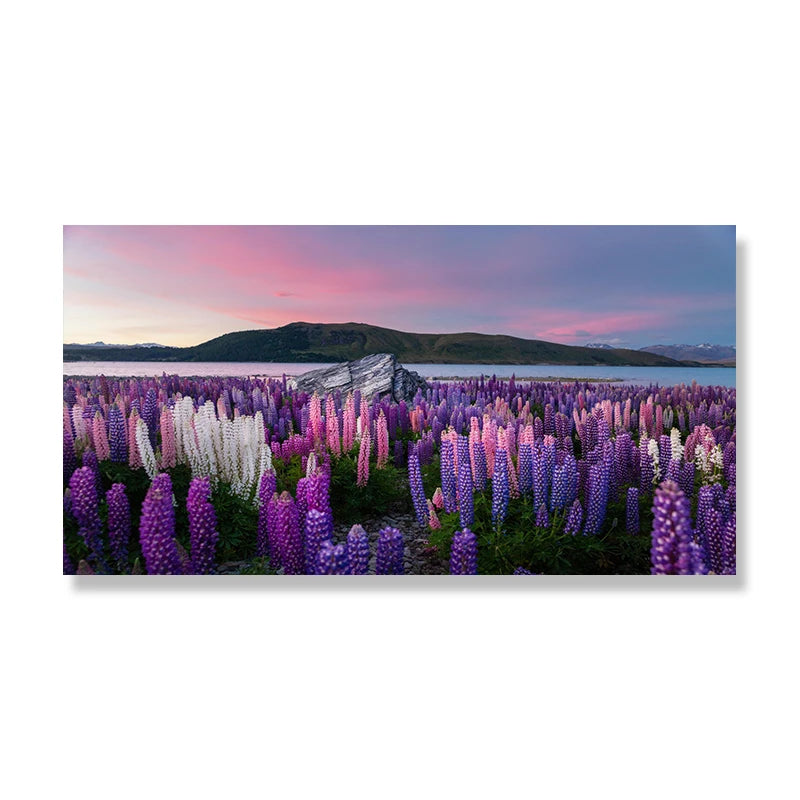 Lake Tekapo New Zealand Canvas Wall Art Lupin Flower Mountain Landscape Posters Prints Home Decor