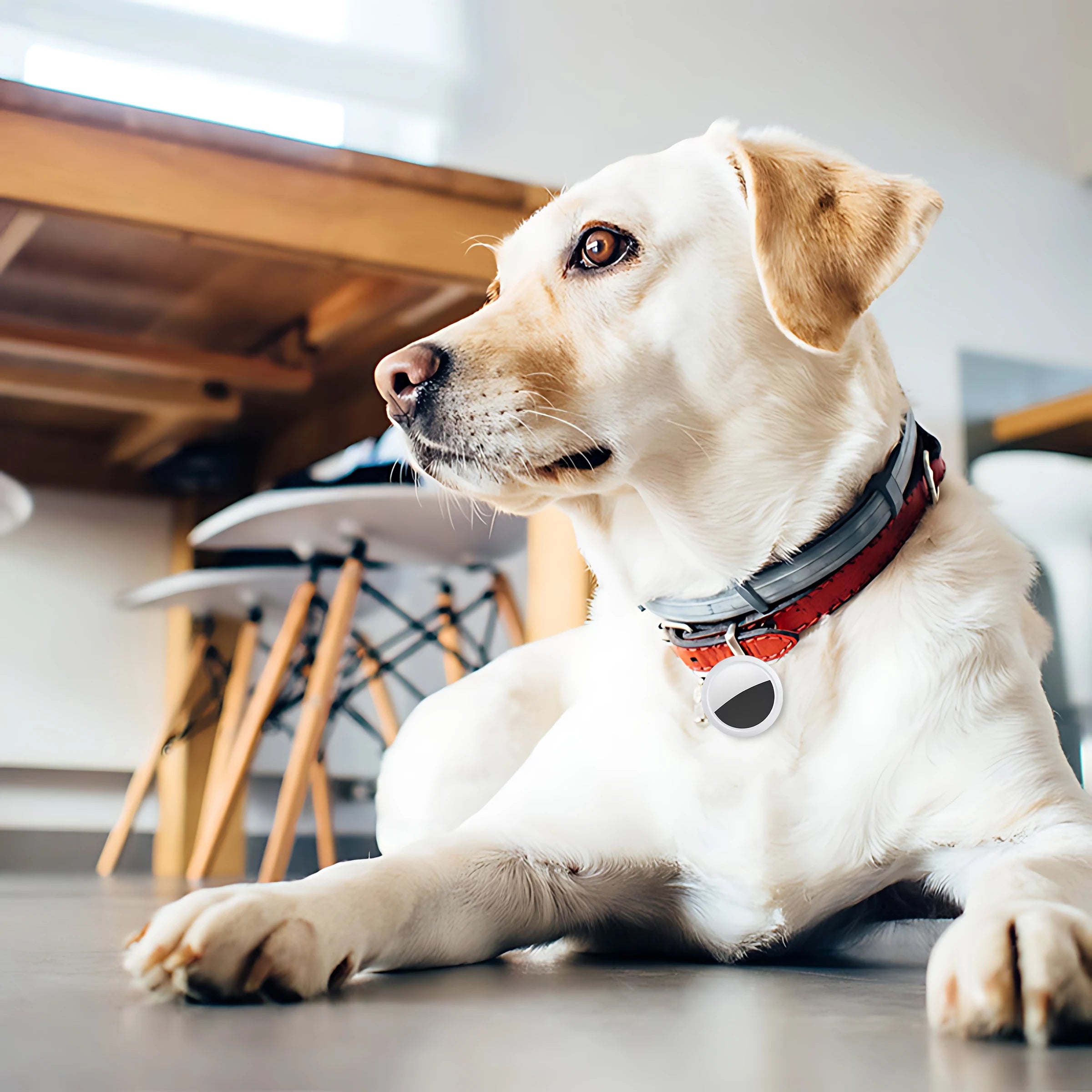 iTAG Mini Tracker Smart Tag Bluetooth 4.0 Locator for Keys, Pets, Wallets & Suitcases (iOS & Android)