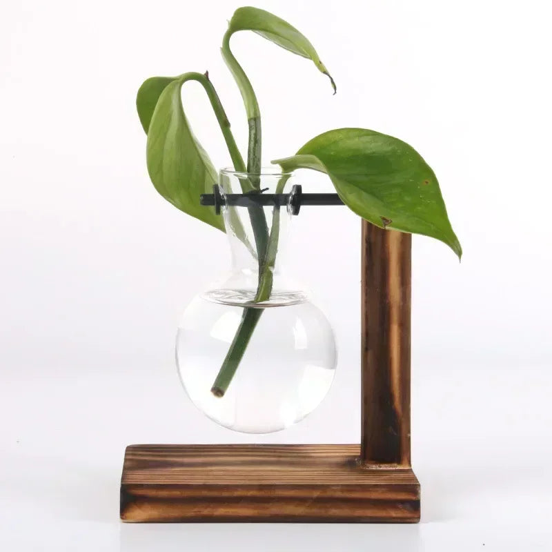 Hydroponic Plant Terrarium Vase Glass Desktop Planter with Wooden Stand for Home and Office Decor