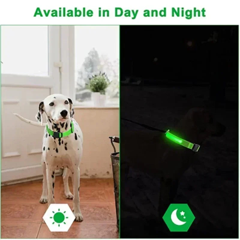 LED GLOWING DOG COLLAR Adjustable Rechargeable Flashing Luminous Night Safety Harness for Dogs
