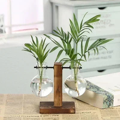 Hydroponic Plant Terrarium Vase Glass Desktop Planter with Wooden Stand for Home and Office Decor