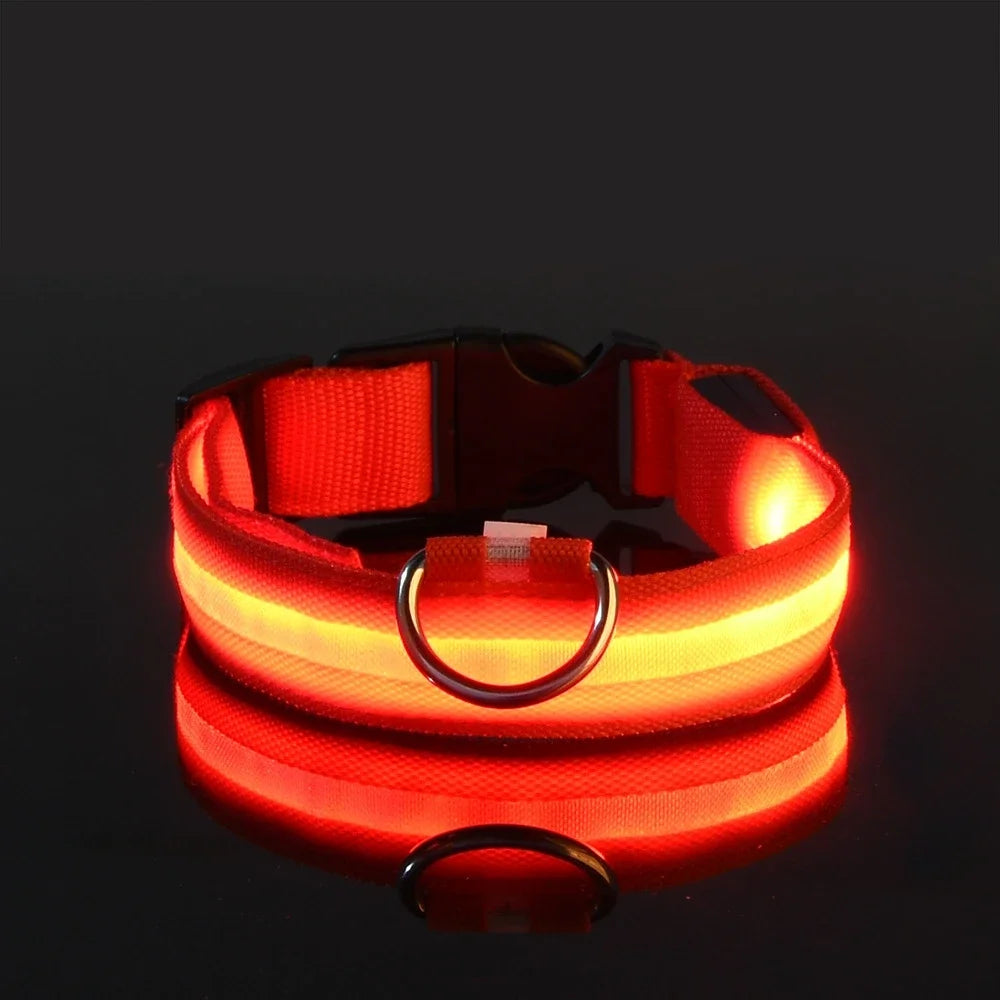 LED Dog Collar Nylon, Glow in the Dark Safety Flashing Collar for Pets, Night Visibility Leash
