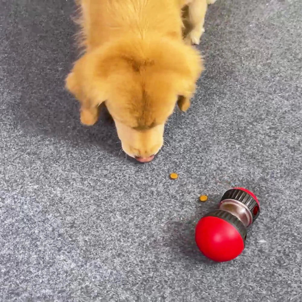 Interactive Dog Toy for Small, Medium & Large Dogs and Cats – Slow Feeder IQ Training Pet Toy