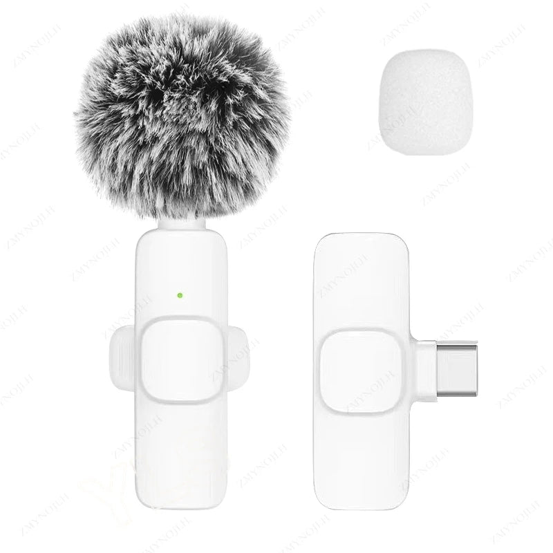 Wireless Lavalier Microphone Portable Mini Clip-On Mic for iPhone Android PC Camera Live Streaming