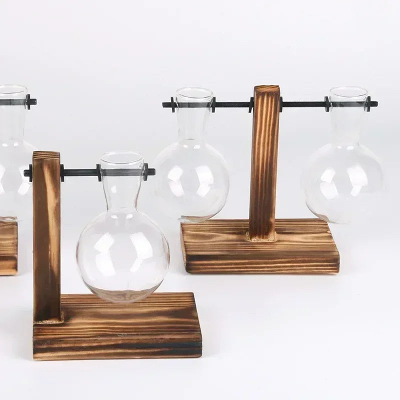 Hydroponic Plant Terrarium Vase Glass Desktop Planter with Wooden Stand for Home and Office Decor