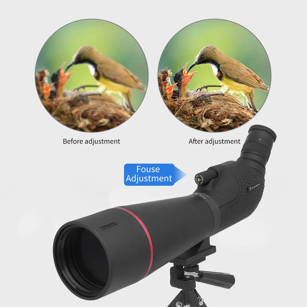 VISIONKING 20-60x80 Spotting Scope with Bak4 FMC Optics Waterproof Monocular and Tripod Bundle XL