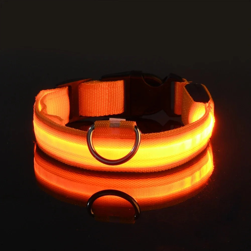 LED Dog Collar Nylon, Glow in the Dark Safety Flashing Collar for Pets, Night Visibility Leash